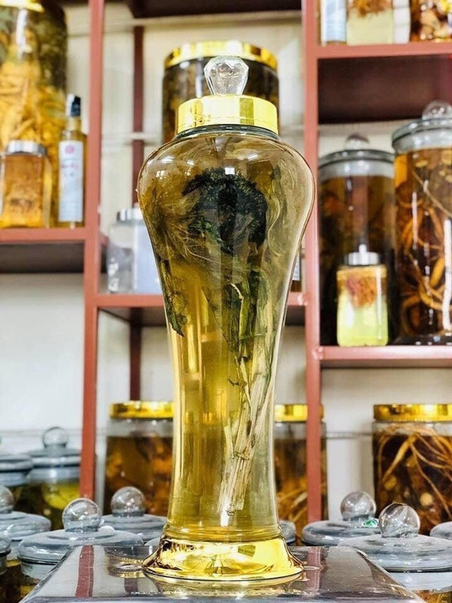 Đổ xô săn lùng bông hoa được xem là thảo dược quý giá trong truyện Kim Dung ảnh 16 Cận cảnh bông hoa không dưới 5 triệu đồng đang được dân chơi Việt săn lùng-16