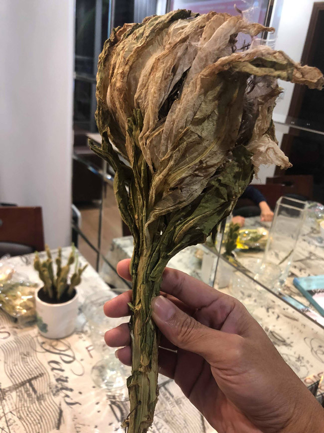 Đổ xô săn lùng bông hoa được xem là thảo dược quý giá trong truyện Kim Dung ảnh 10 Cận cảnh bông hoa không dưới 5 triệu đồng đang được dân chơi Việt săn lùng-10