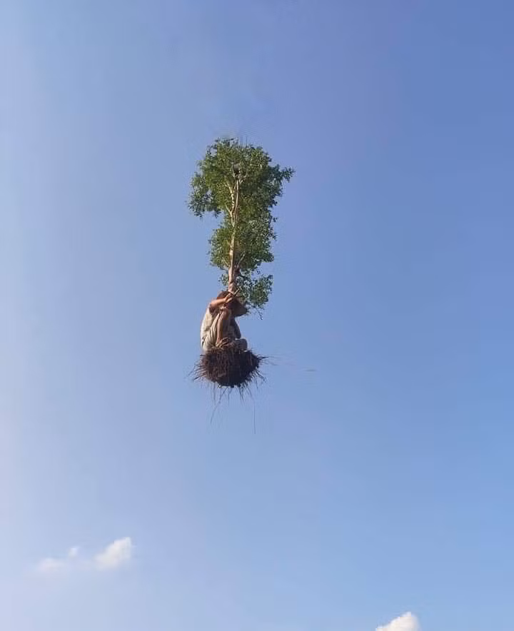 Cân đẩu vân của Tôn Ngộ Không tuổi gì