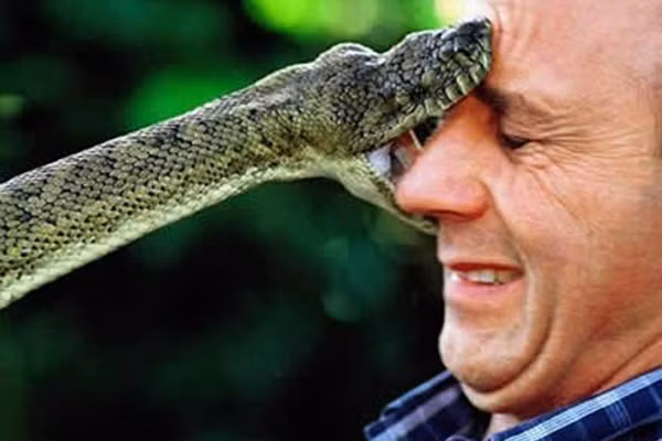 11 người xui xẻo nhất hành tinh