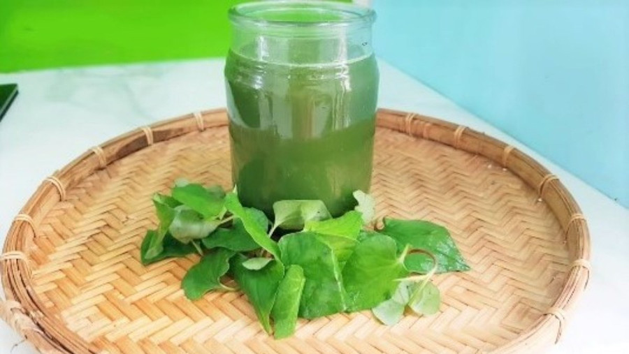 Diếp cá có thể có tác dụng tích cực trong việc cân bằng sức khỏe đường ruột. (Ảnh: ITN). Diếp cá có thể có tác dụng tích cực trong việc cân bằng sức khỏe đường ruột. (Ảnh: ITN).