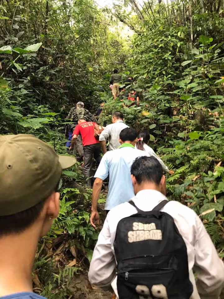 Nhiều người dậy từ tinh mơ lên rừng tìm mộng đổi đời