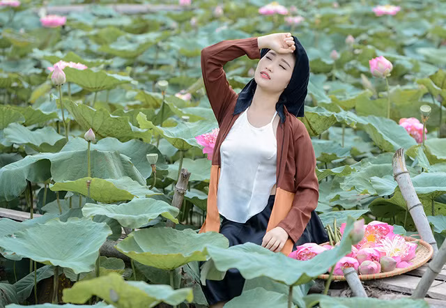 Khi ấy, hái sen trẩy hội là một thú vui của chị em phụ nữ. Cũng có những người hái sen đem bán vào những dịp lễ chùa, hái sen ướp hương cho món ăn và trang phục.