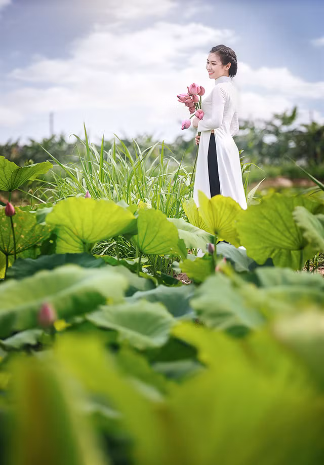 Cô gái này cùng với ê-kíp nhiếp ảnh lặn lội về tận Duy Tiên, Hà Nam để thăm đầm sen đang vào mùa hé nụ.