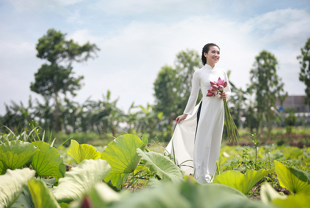 Dịu dàng áo dài trắng giữa đầm sen mùa hạ ảnh 5 Dịu dàng áo dài trắng giữa đầm sen mùa hạ ảnh 5