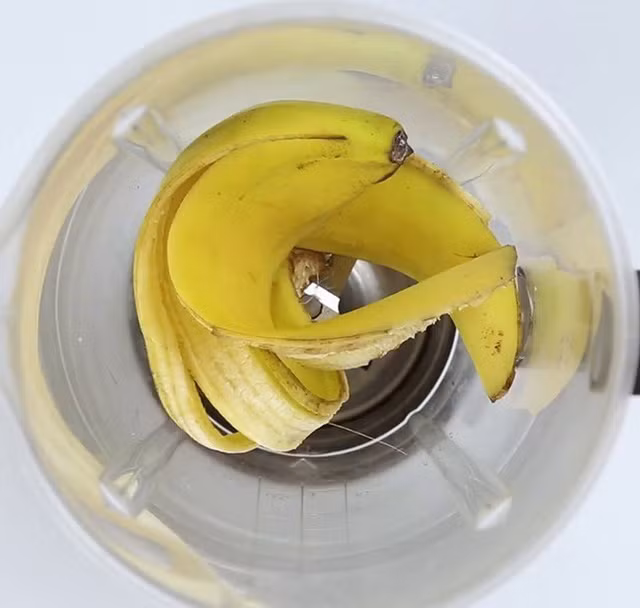 Mẹo giúp hoa, cây cảnh sắp chết héo cỡ nào cũng tươi tốt chỉ sau vài ngày ảnh 1