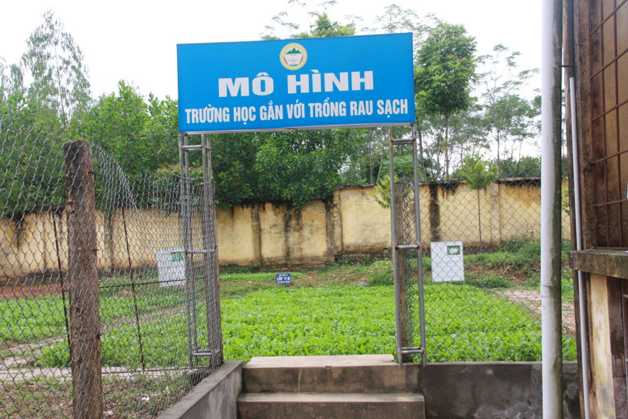 Khu vực vườn rau xanh của Trường Phổ thông Dân tộc nội trú tỉnh Phú Thọ. Ảnh: Trung Toàn