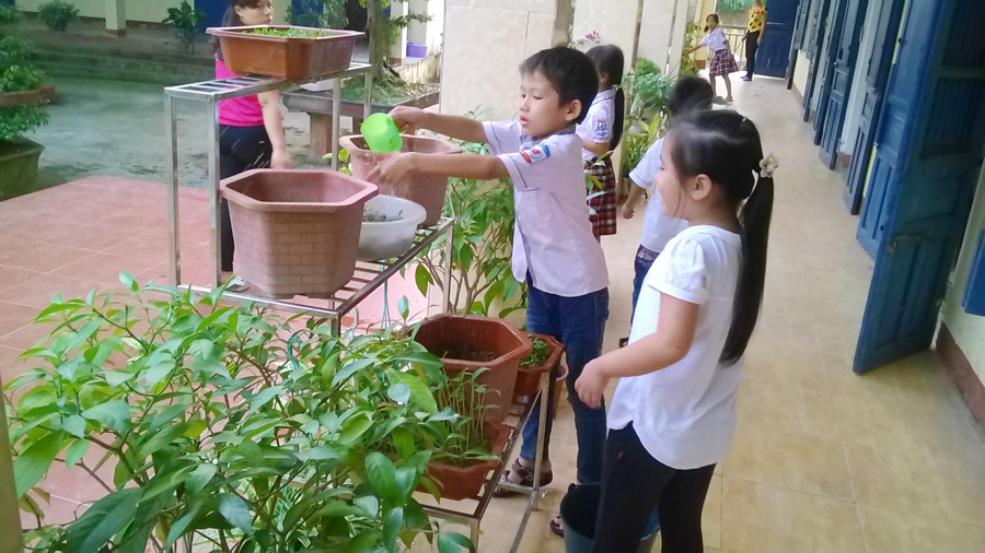 Trong giờ trải nghiệm tại Trường TH Nam Bình (Nam Trực, Nam Định) Trong giờ trải nghiệm tại Trường TH Nam Bình (Nam Trực, Nam Định)