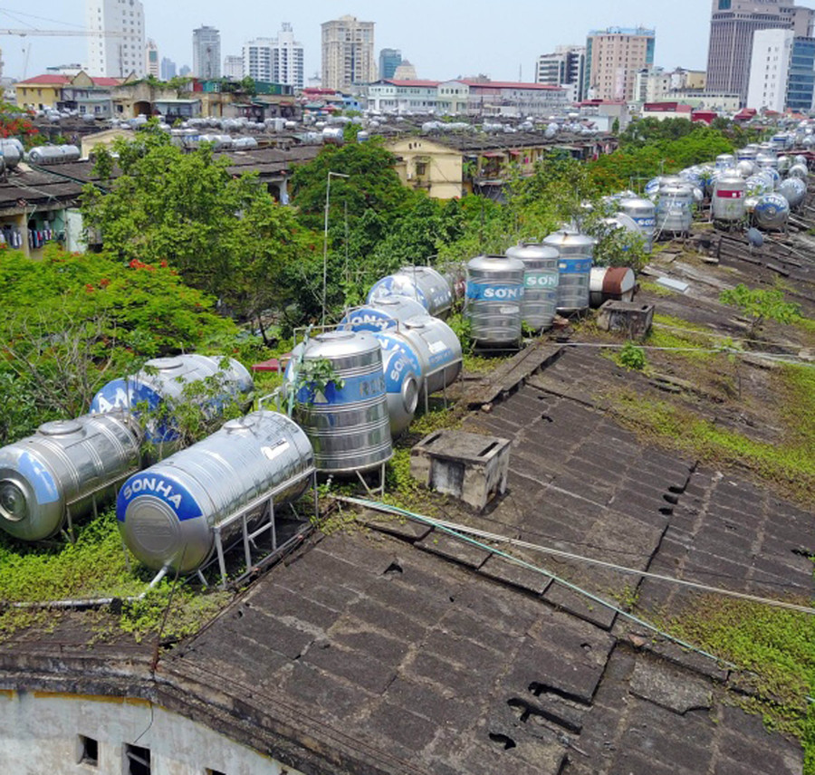 Mọc như khoai, sắn trên nóc nhà cũ