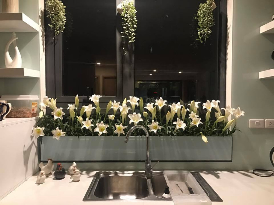 "Vườn hoa" độc đáo trên cửa sổ nhà bếp của bà mẹ khéo tay Hà Thành hình ảnh 3 "vuon hoa" doc dao tren cua so nha bep cua ba me kheo tay ha thanh hinh anh 3