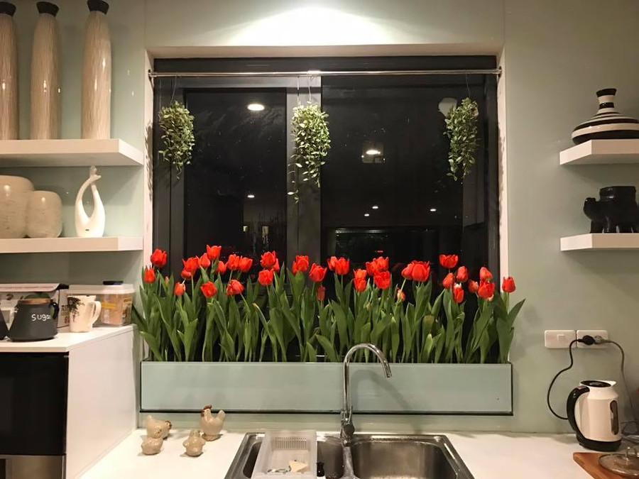 "Vườn hoa" độc đáo trên cửa sổ nhà bếp của bà mẹ khéo tay Hà Thành hình ảnh 2 "vuon hoa" doc dao tren cua so nha bep cua ba me kheo tay ha thanh hinh anh 2