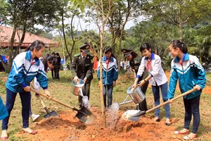 Cả nước chung sức, đồng lòng trồng mới 1 tỷ cây xanh.