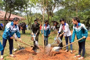 Cả nước chung sức, đồng lòng trồng mới 1 tỷ cây xanh.