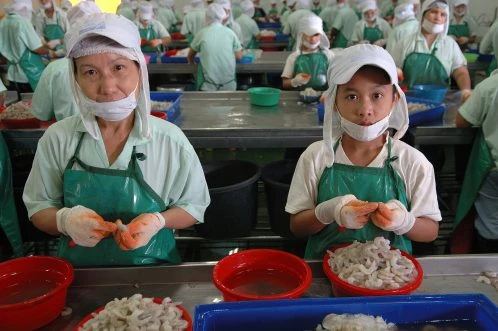 Tạo cơ hội phát triển kỹ năng cho lao động di cư
