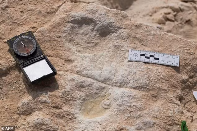 Một trong 7 dấu chân hominin được phát hiện tại hồ cổ Alathar trong sa mạc Nefud ngày nay.