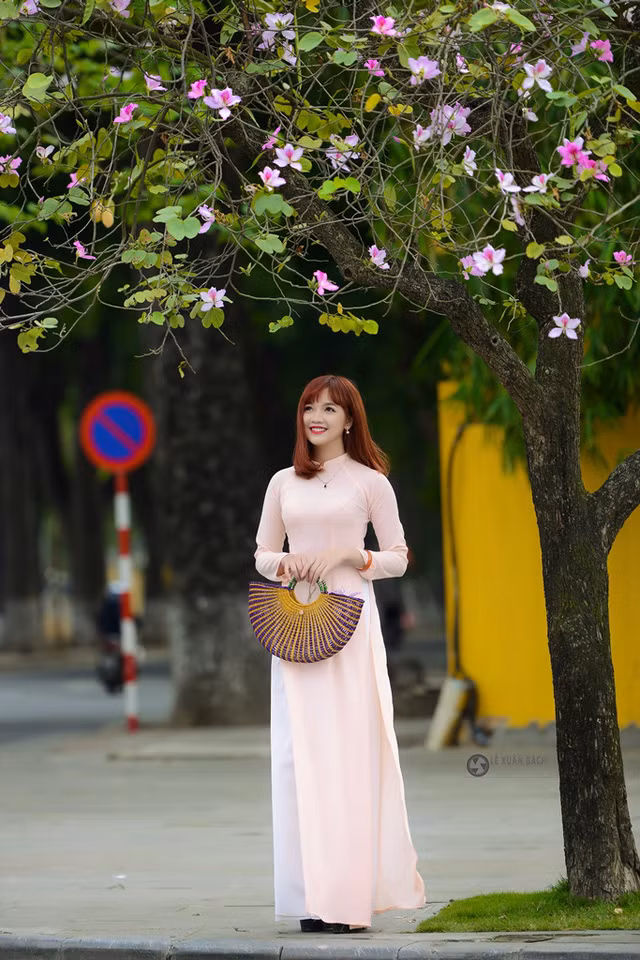 Nữ sinh Hà thành dịu dàng trong sắc hoa ban ảnh 5