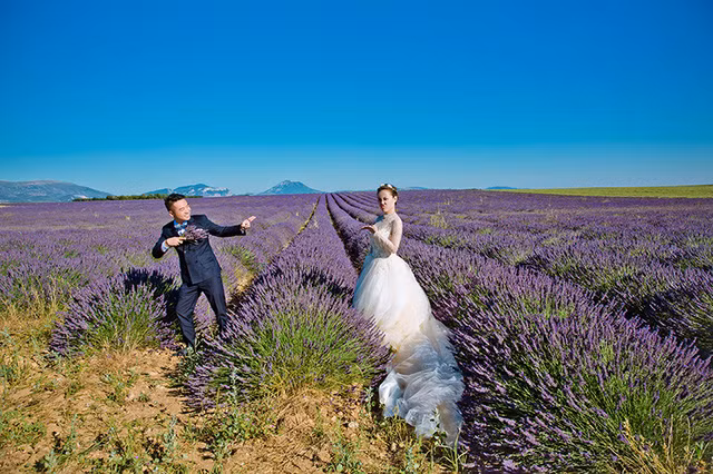 Ảnh cưới của cặp đôi Việt trên cánh đồng Lavender nước Pháp