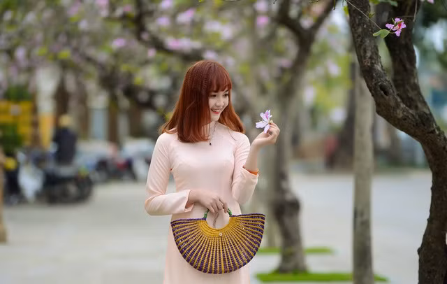 Nữ sinh Hà thành dịu dàng trong sắc hoa ban ảnh 2
