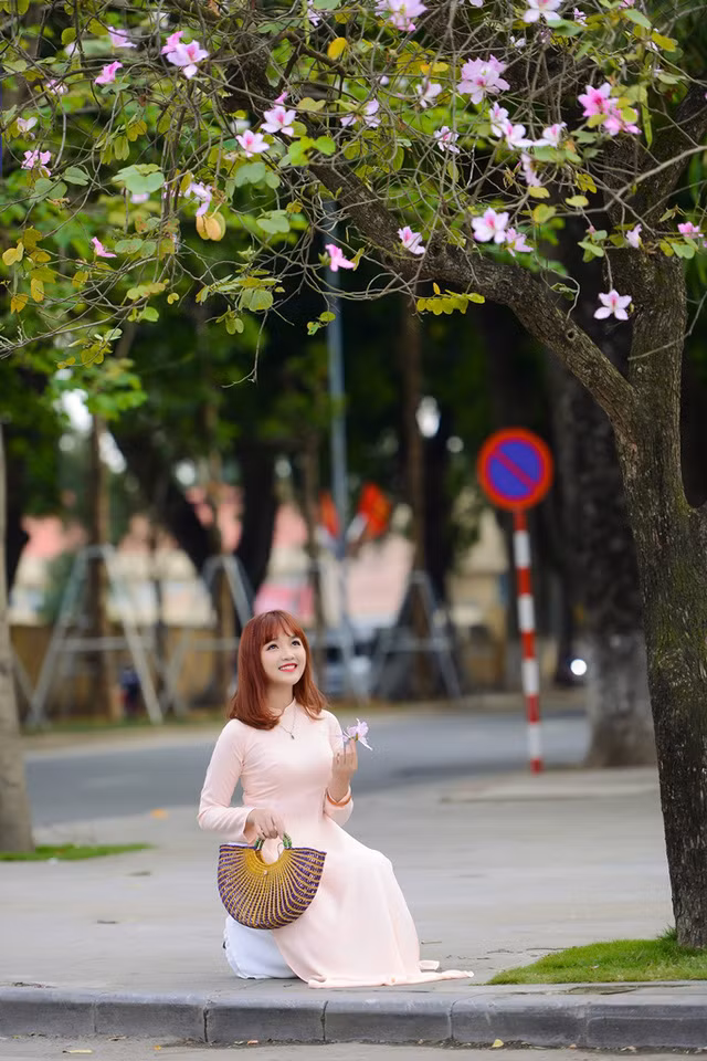 Nữ sinh Hà thành dịu dàng trong sắc hoa ban ảnh 7