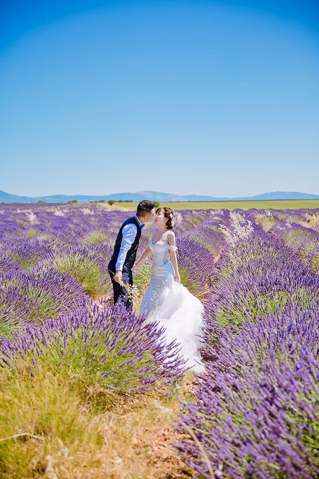 Bộ ảnh cưới được chụp trên cánh đồng hoa lavender (oải hương) nước Pháp vô cùng lãng mạn.