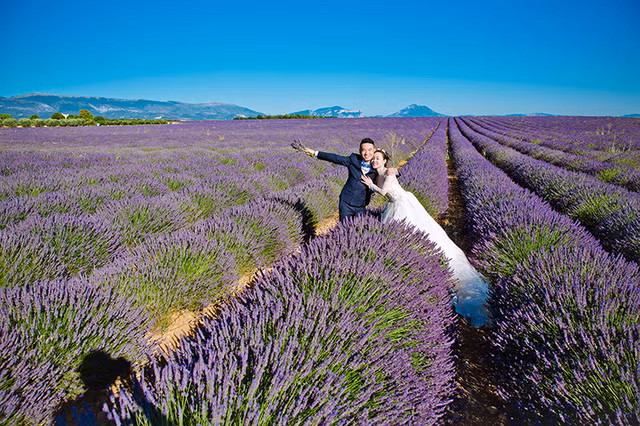 Chú rể Đỗ Xuân Cường, sinh năm 1986, là một nhiếp ảnh gia. Cô dâu Phan Thùy Linh, sinh năm 1988, hiện làm việc tại Đại học Mỏ - Địa chất Hà Nội. Cả hai đều yêu mến cảnh đẹp của những cánh đồng oải hương nước Pháp và muốn đưa chúng vào khung hình kỷ niệm đám cưới của họ.