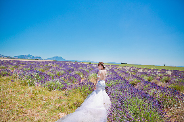 Ảnh cưới của cặp đôi Việt trên cánh đồng Lavender nước Pháp ảnh 11