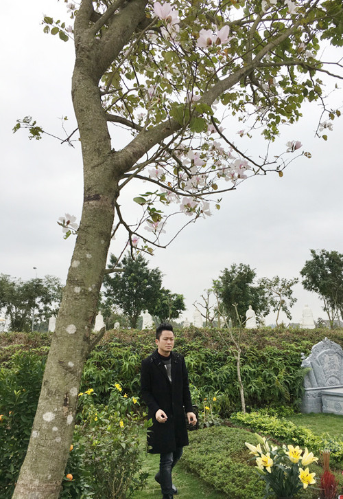 tung-duong-hat-hoa-ban-trang-ben-mo-tran-lap-4