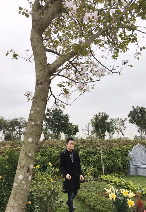 tung-duong-hat-hoa-ban-trang-ben-mo-tran-lap-4