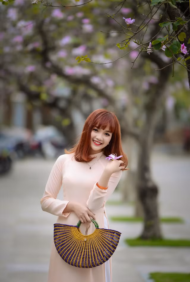Nữ sinh Hà thành dịu dàng trong sắc hoa ban ảnh 1