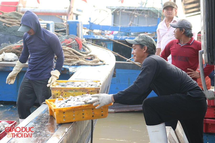 Ngư dân Nghệ An "chạy đua" với thời gian trước khi bão vào. Ngư dân Nghệ An "chạy đua" với thời gian trước khi bão vào.