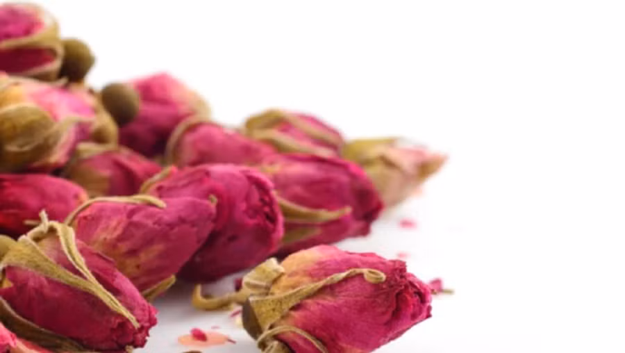 Uống trà hoa hồng giúp giảm căng thẳng, lo lắng và trầm cảm. (Ảnh: ITN) Uống trà hoa hồng giúp giảm căng thẳng, lo lắng và trầm cảm. (Ảnh: ITN)