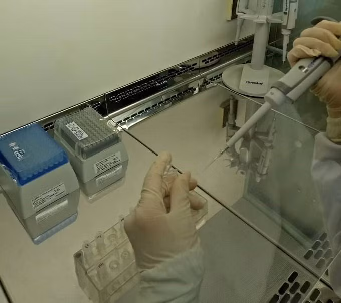 Tờ giấy giám định ADN giải oan cho người mẹ câm sau 20 năm