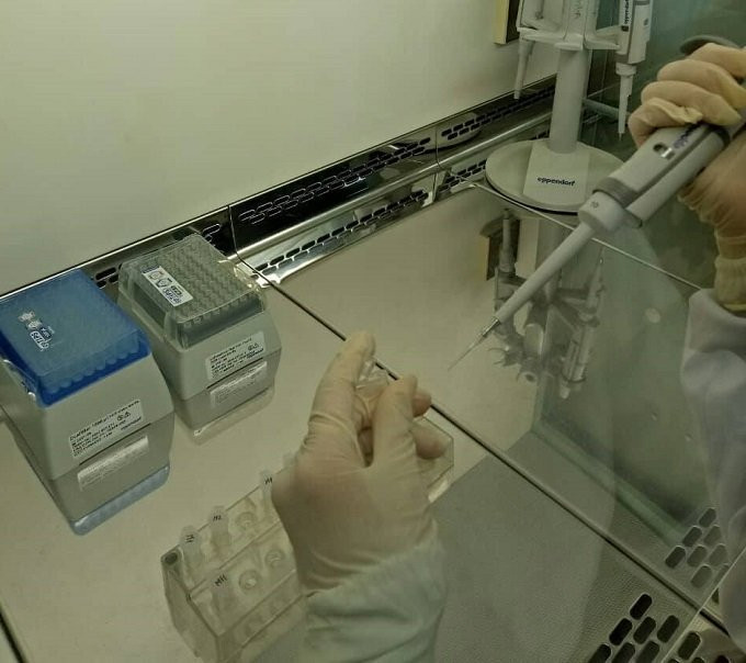 Tờ giấy giám định ADN giải oan cho người mẹ câm sau 20 năm ảnh 2 Tờ giấy giám định ADN giải oan cho người mẹ câm sau 20 năm