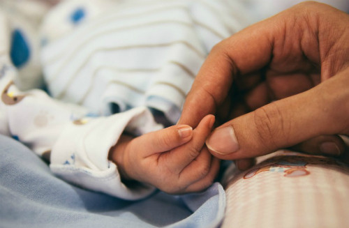 Ảnh: Starnews.com.