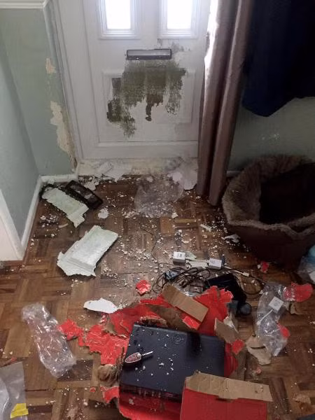 ...nhưng hình ảnh khi cô chủ về nhà lại hoàn toàn tương phản