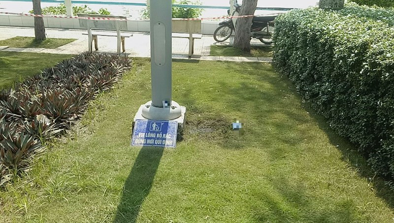 Dạo chơi công viên, cô bé 14 tuổi bị điện giật nguy kịch - ảnh 3