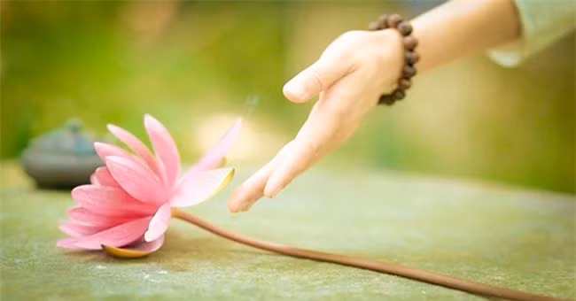 5 diem noi bat cua mot nguoi co tuong phu quy, giau co-Hinh-4