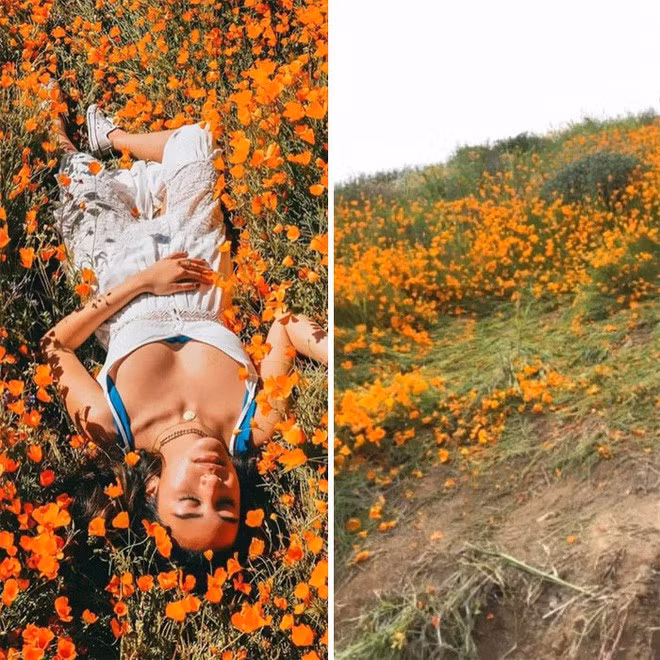 Sự hoàn hảo và hào nhoáng trên Instagram đang hủy hoại giới trẻ như thế nào? - Ảnh 13.