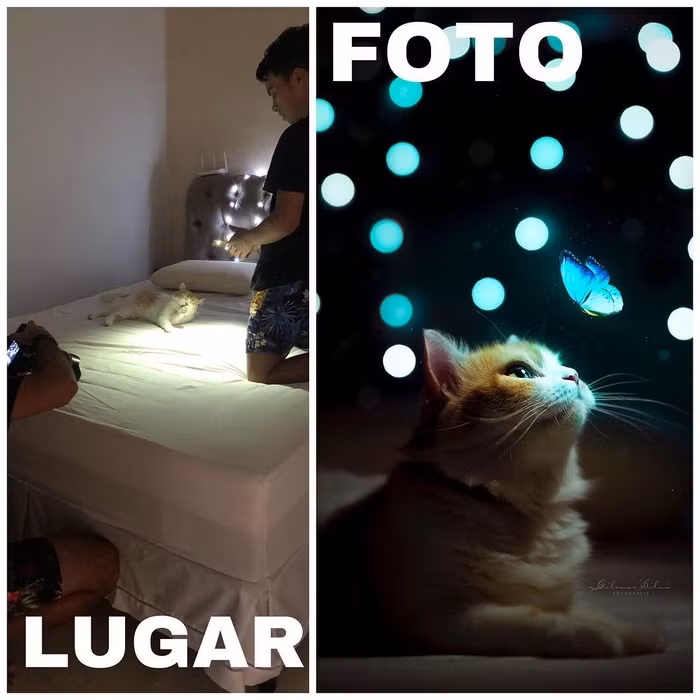 Hóa ra phía sau những bức ảnh “sống ảo” lung linh là sự lăn xả không ngừng của các nhiếp ảnh gia