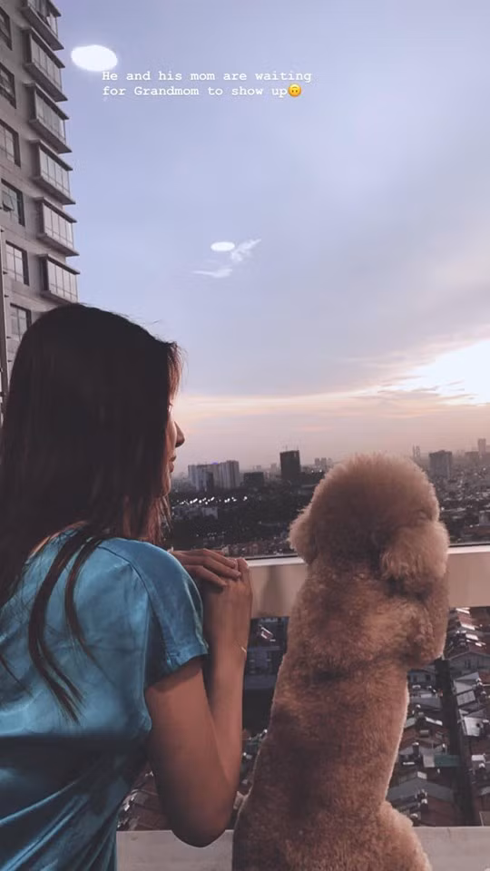 Diễm My chia sẻ góc nhỏ trong căn nhà giờ đã không còn bóng mẹ khiến nhiều người xót xa Diễm My chia sẻ góc nhỏ trong căn nhà giờ đã không còn bóng mẹ khiến nhiều người xót xa