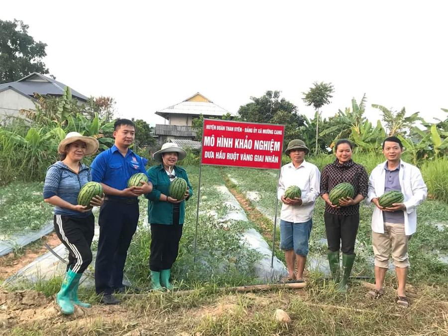 Những mô hình sản xuất được xã Mường Cang đưa vào trồng khảo nghiệm cho người dân.