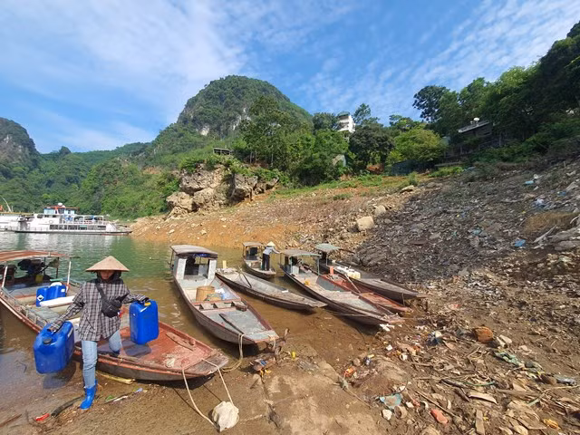 Một góc tại cảng Bích Hạ.