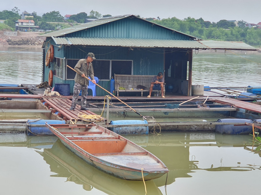 Một gia đình ở xóm chài, thuộc phường Đồng Tiến, TP. Hòa Bình đang kiểm tra lồng cá khi nước cạn. Một gia đình ở xóm chài, thuộc phường Đồng Tiến, TP. Hòa Bình đang kiểm tra lồng cá khi nước cạn.