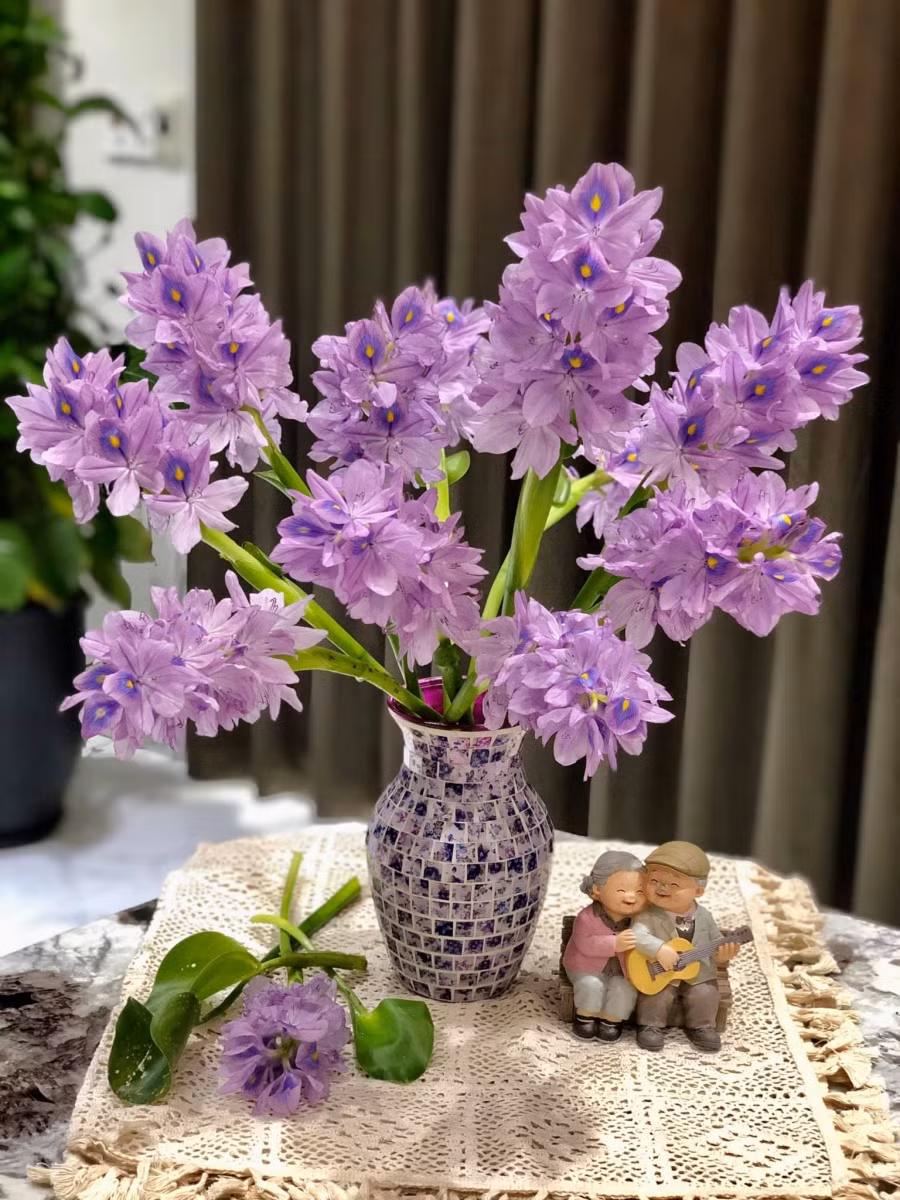 Ngỡ ngàng vì vẻ đẹp của bình hoa lục bình "rẻ như bèo" của cô gái 8x ảnh 6