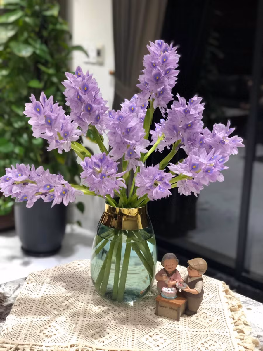 Ngỡ ngàng vì vẻ đẹp của bình hoa lục bình "rẻ như bèo" của cô gái 8x ảnh 7