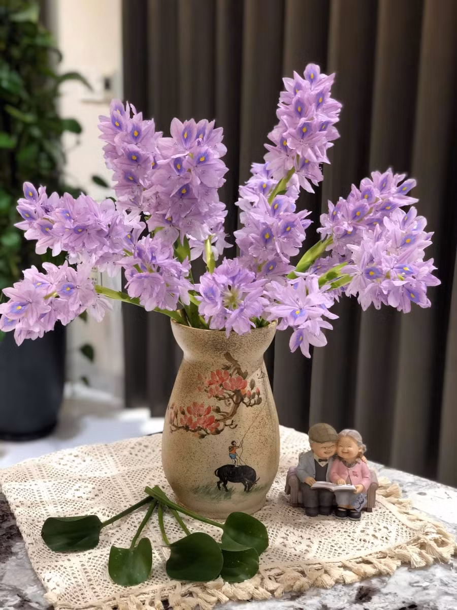 Màu tím của loài hoa dân dã làm sáng bừng cả góc phòng