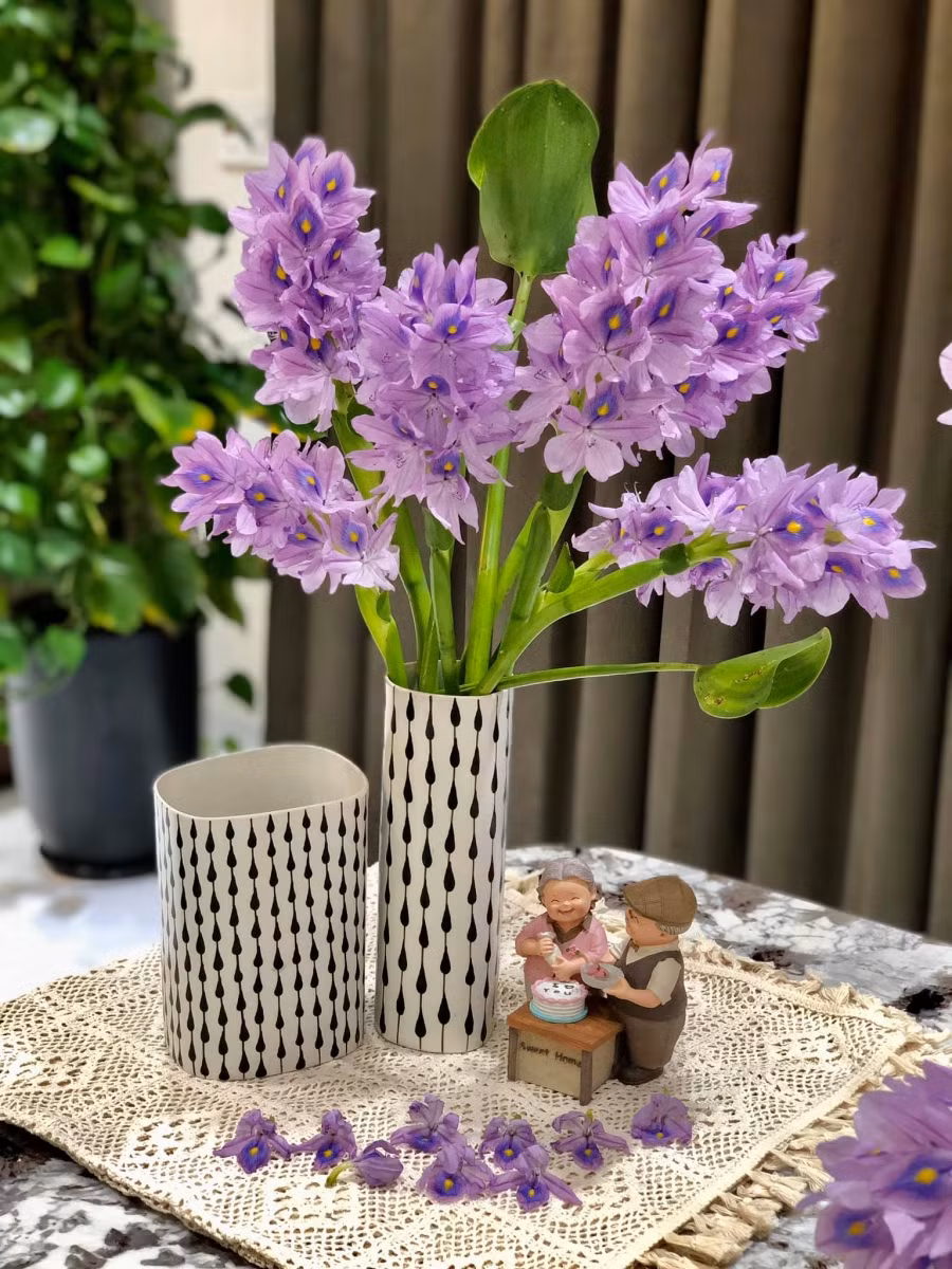 Ngỡ ngàng vì vẻ đẹp của bình hoa lục bình "rẻ như bèo" của cô gái 8x ảnh 8