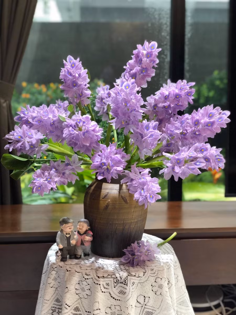 Ngỡ ngàng vì vẻ đẹp của bình hoa lục bình "rẻ như bèo" của cô gái 8x ảnh 2