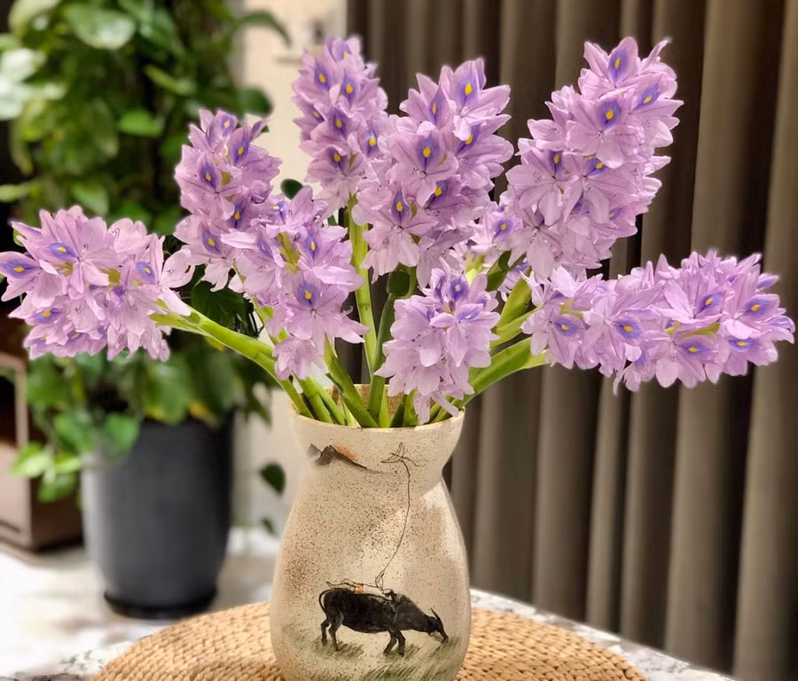 Ngỡ ngàng vì vẻ đẹp của bình hoa lục bình "rẻ như bèo" của cô gái 8x ảnh 3