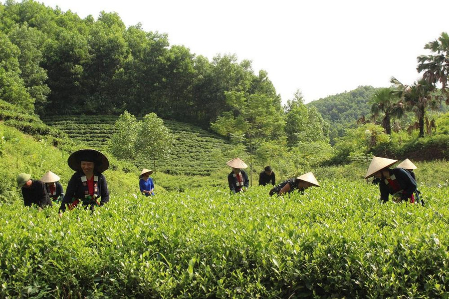 Phú Lương đang dần trở thành điểm đến hấp dẫn du khách trong hành trình khám phá núi rừng Đông Bắc
